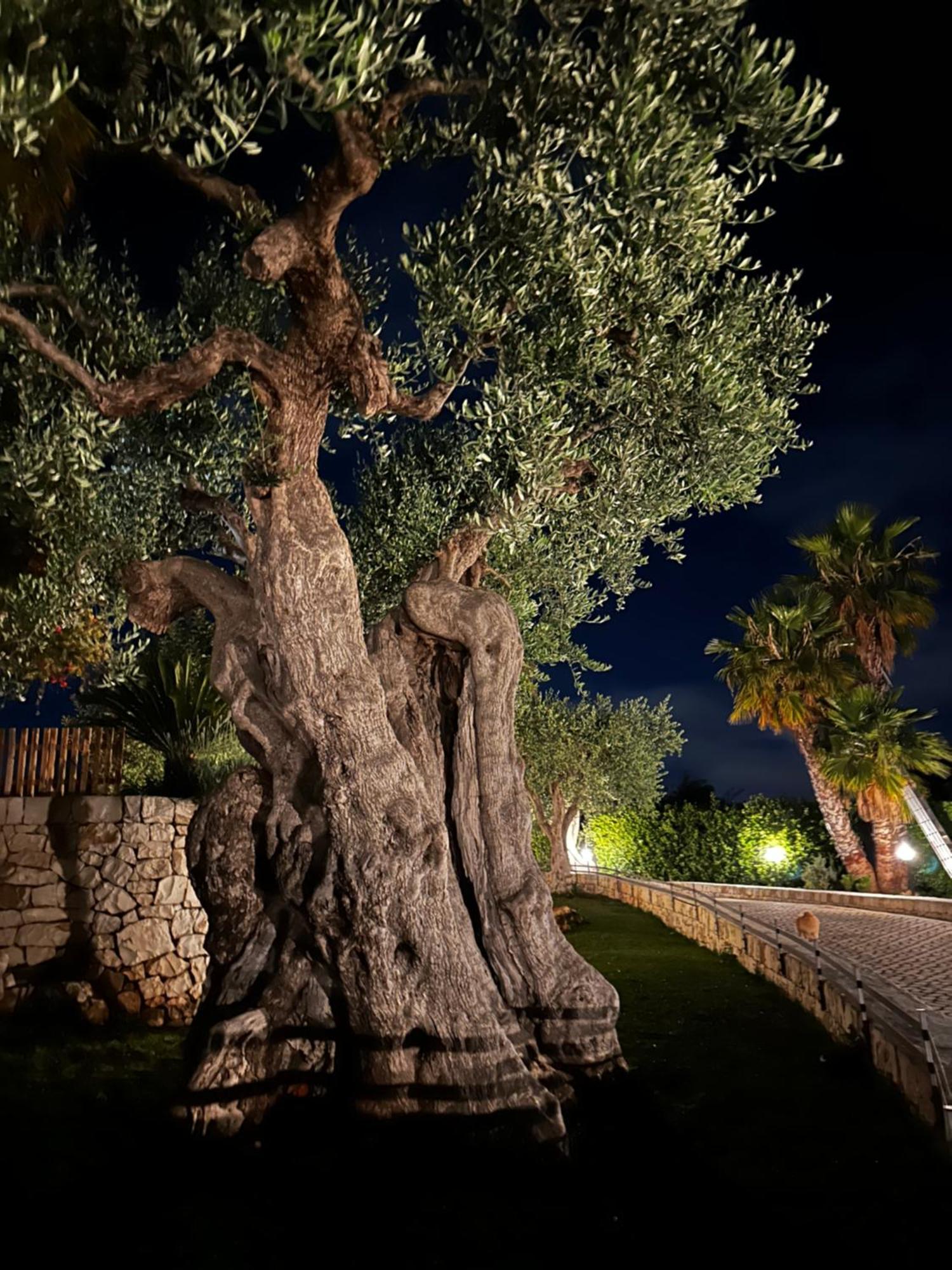 Alla Villa Di Angelo Monopoli Extérieur photo